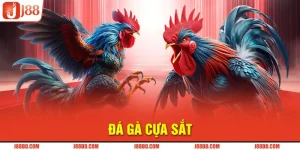 Avartar Đá Gà Cựa Sắt